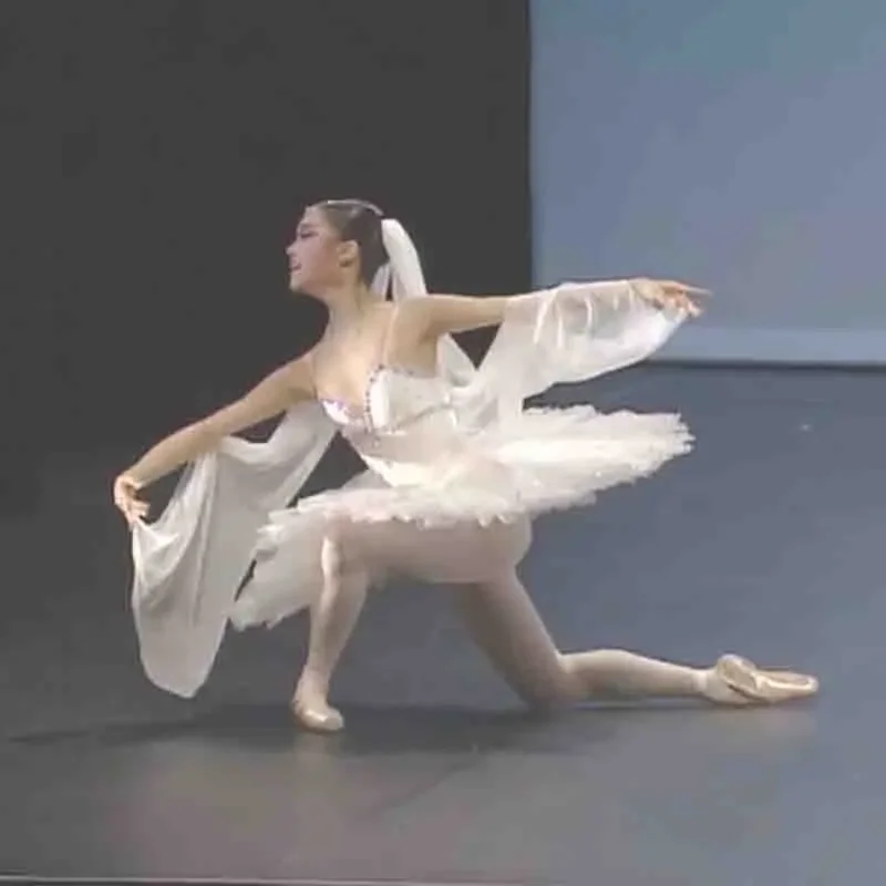Adult White Professional Ballet Tutu Women Ballet Dance Competition Costume Figure Skating Dress Swan Lake Ballet Dress Girls