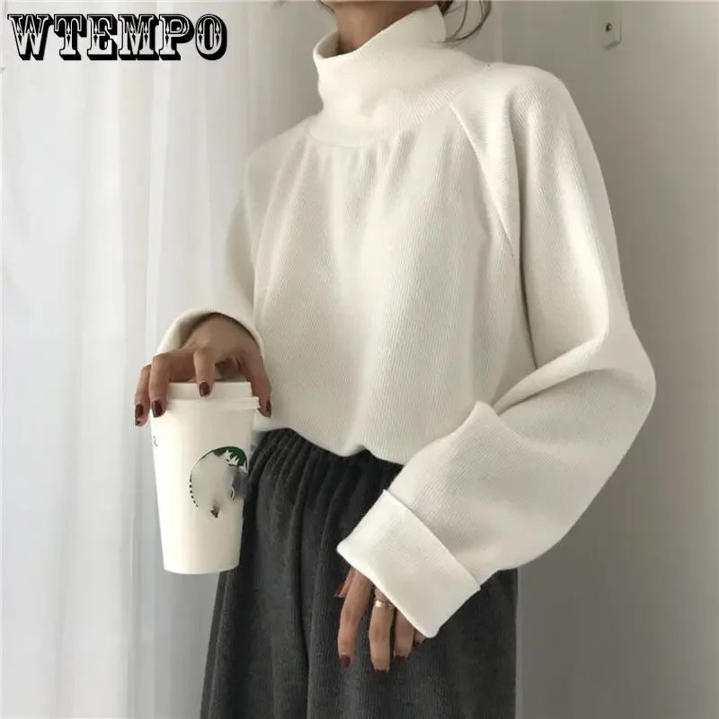 Turtleneck Jumper Sweater Women Warm Thin Knit Loose White Pullover Knitted Basic Spring and Autumn Top Pulls Sueter Mujer