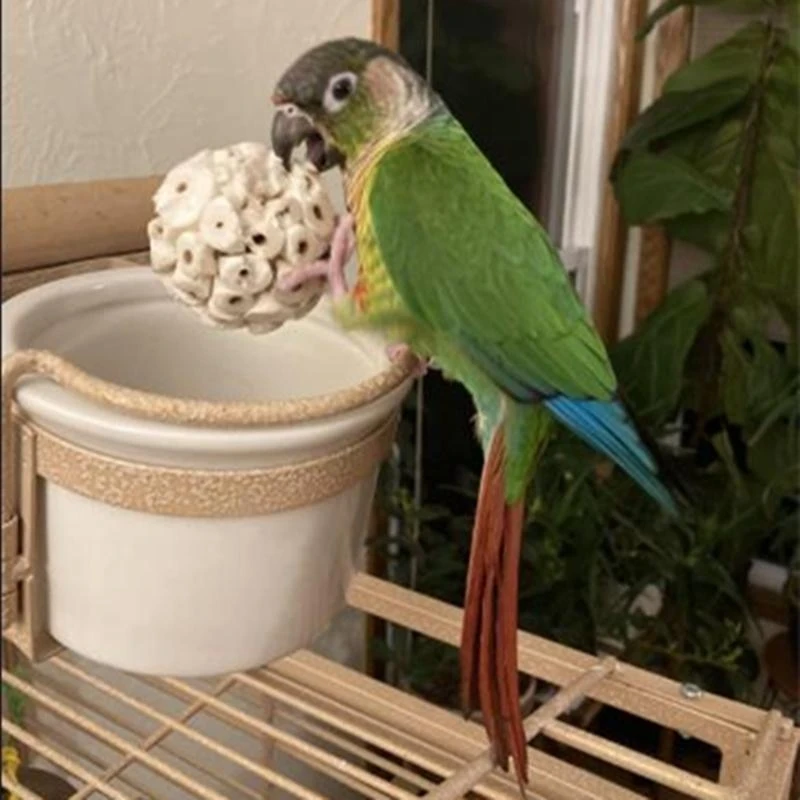 3pcs Bird Chew Toy Natural Sola Ball 2.36in ألعاب علف لبودجي فينش ماكاو