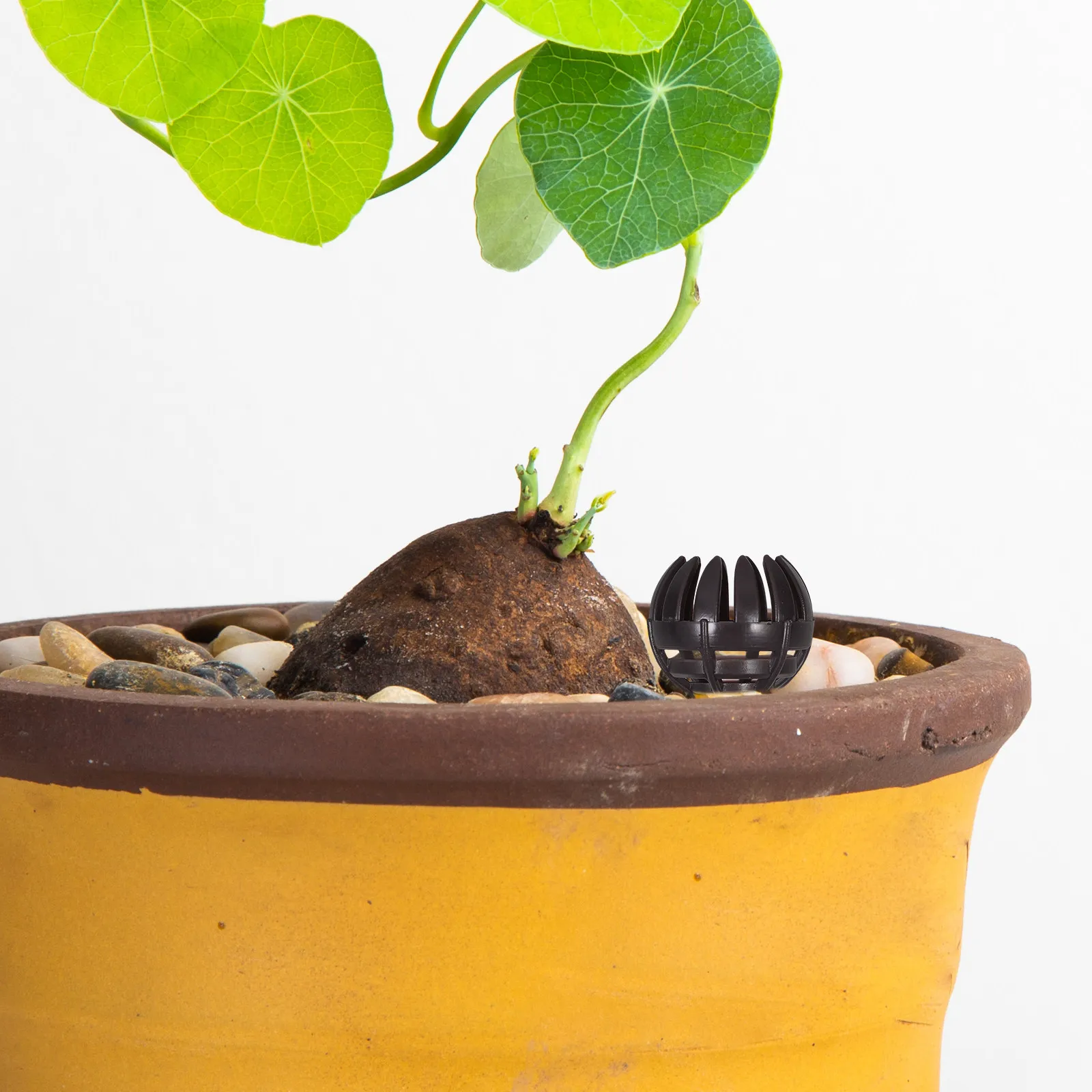 

20 шт. пластиковых сетчатых корзин для удобрений бонсай с медленным высвобождением питательных веществ, материал АБС, многоразовый контейнер для растений, садовый инструмент