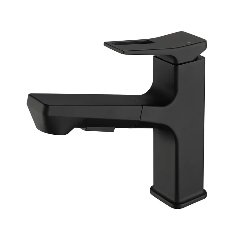 

Black pull out basin, faucet, dual mode water outlet, hot and cold washbasin