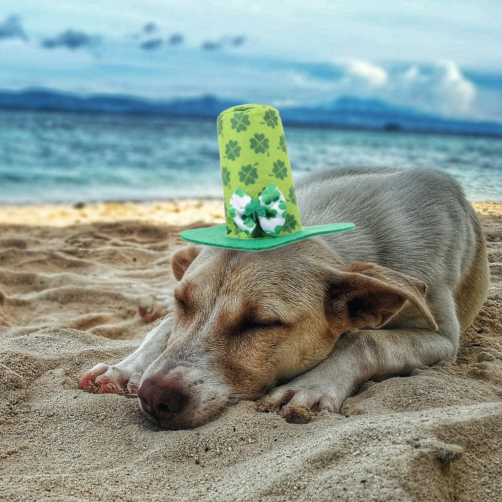 

Pet Hat Small The Cat Party Hats Dog Cotton Polyester for Dogs Birthday Costume Funny