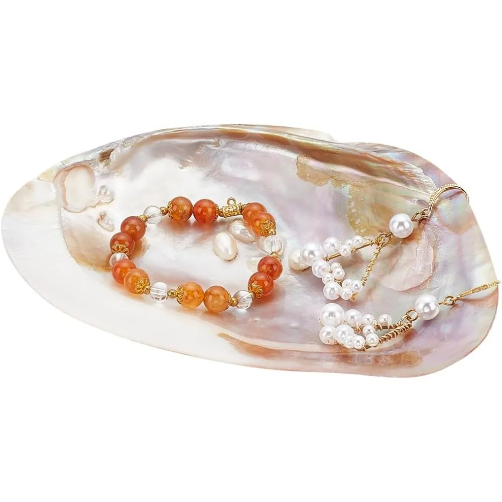 

1pc Shell Jewelry Tray Natural Seashell Ring Holder Pendant Tray Jewelry Dish Keys Girls Home Bathroom Decor Jewelry Bowl Gift