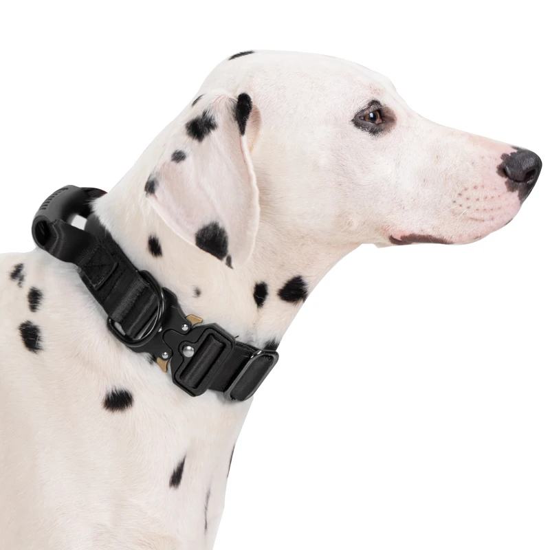 Taktisches Hundehalsband für mittelgroße und große Hunde, robuste Hundehalsbänder mit Griff, Hundetrainingshalsband mit Metallschnalle, dickes Militär – Detail 13