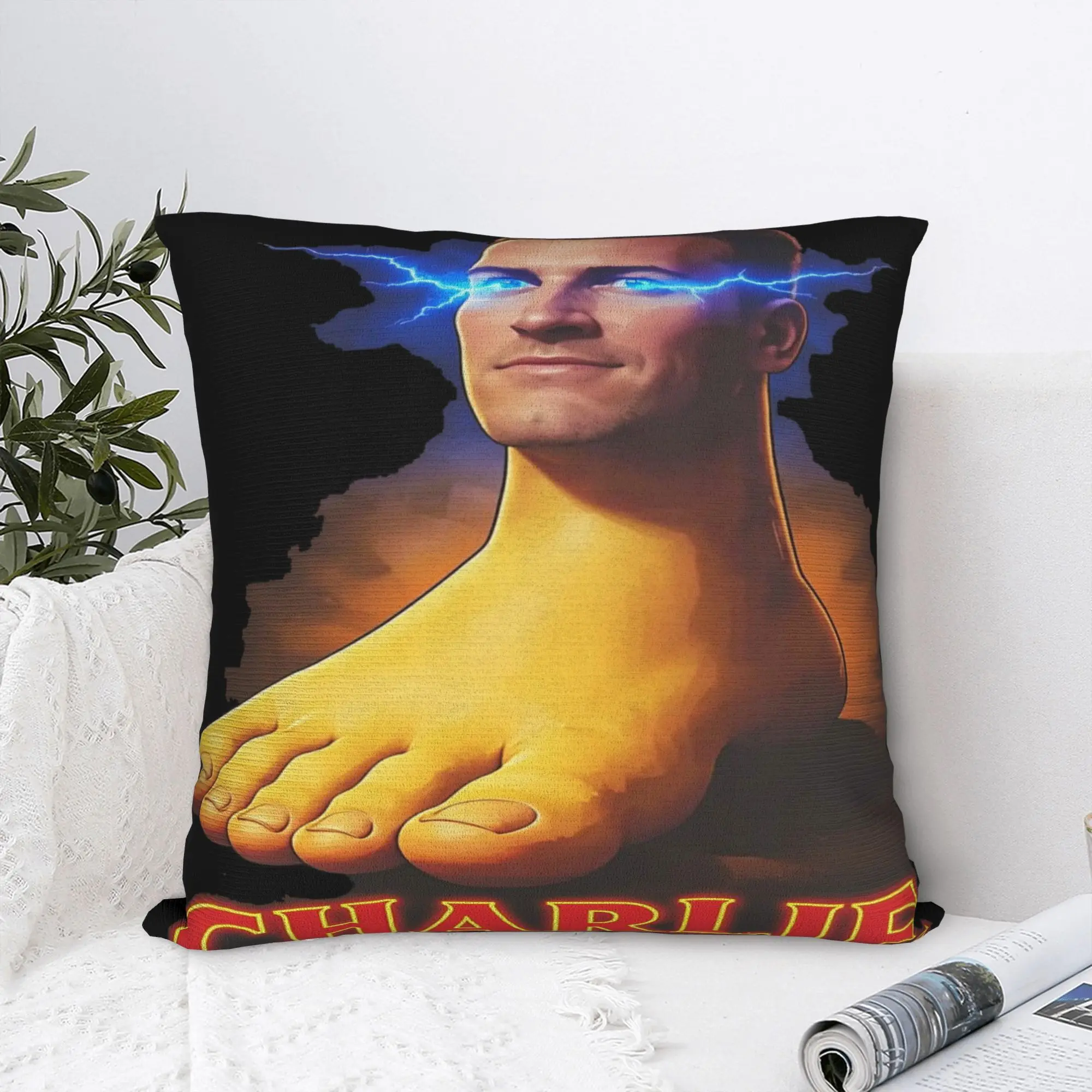 I Love Charlie Kirk Meme Pillow Case  Morden Pillow Cover Square Pillowcases For Chair Sofa Home Decor