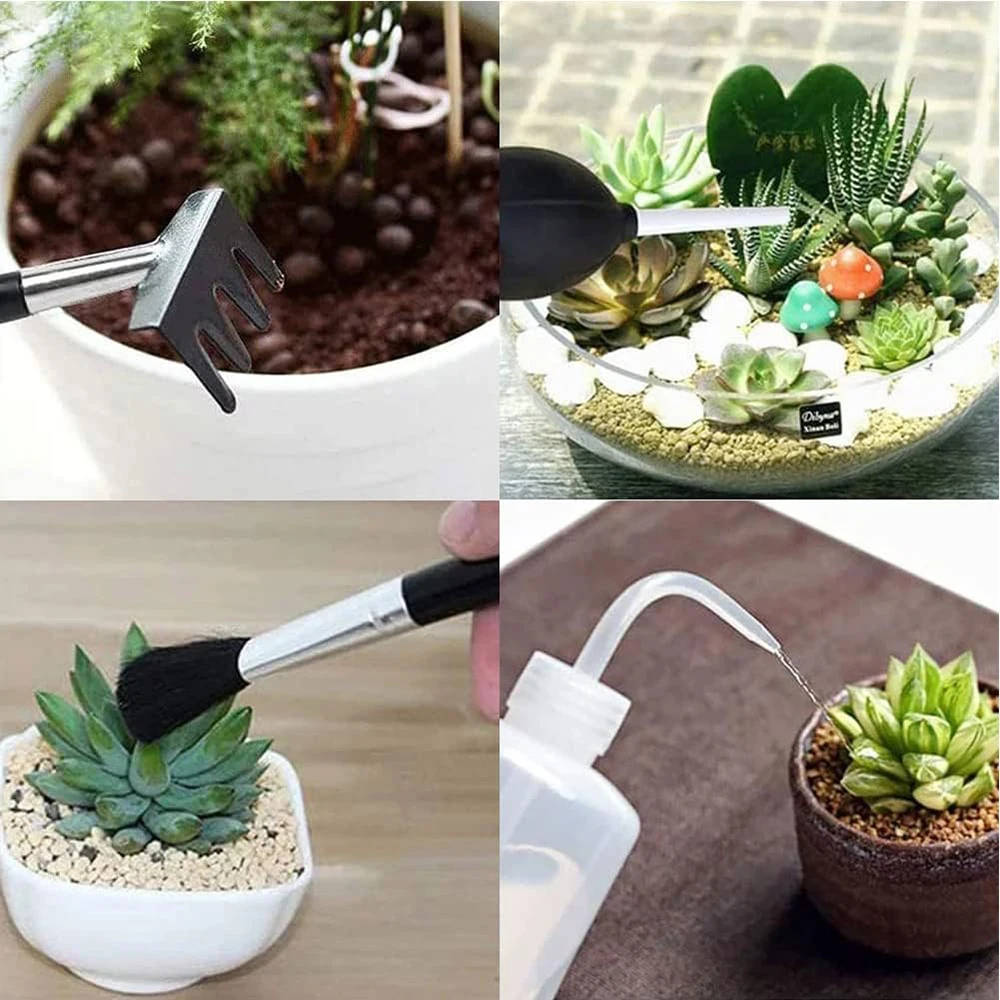 Mini Esteira Suculenta Repotting Planta, Saco De Armazenamento, Ferramentas De Transplante De Jardim, Fada Em Miniatura Interior e Exterior, 5PCs,