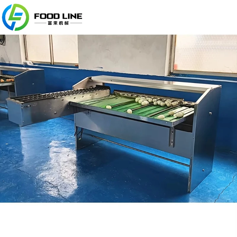 Customized Automatic Egg Grading Line Complete Industrial Egg Processing Equipment For Washing Drying Sorting Packing