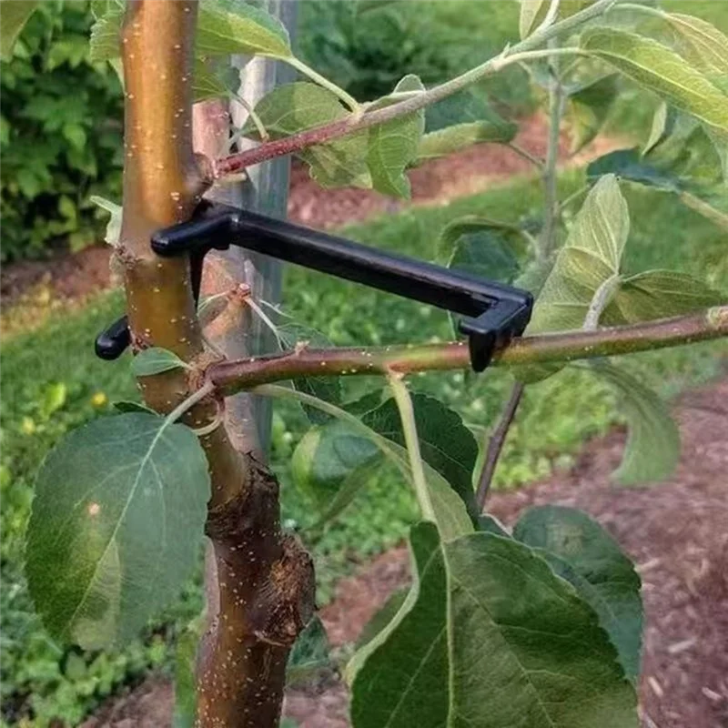 ABMS-Branch Spreaders Plant Stem Traine Fruit Tree Branch Puller Tying Machine Farm Tools New Plum Tree Open Angle Pull