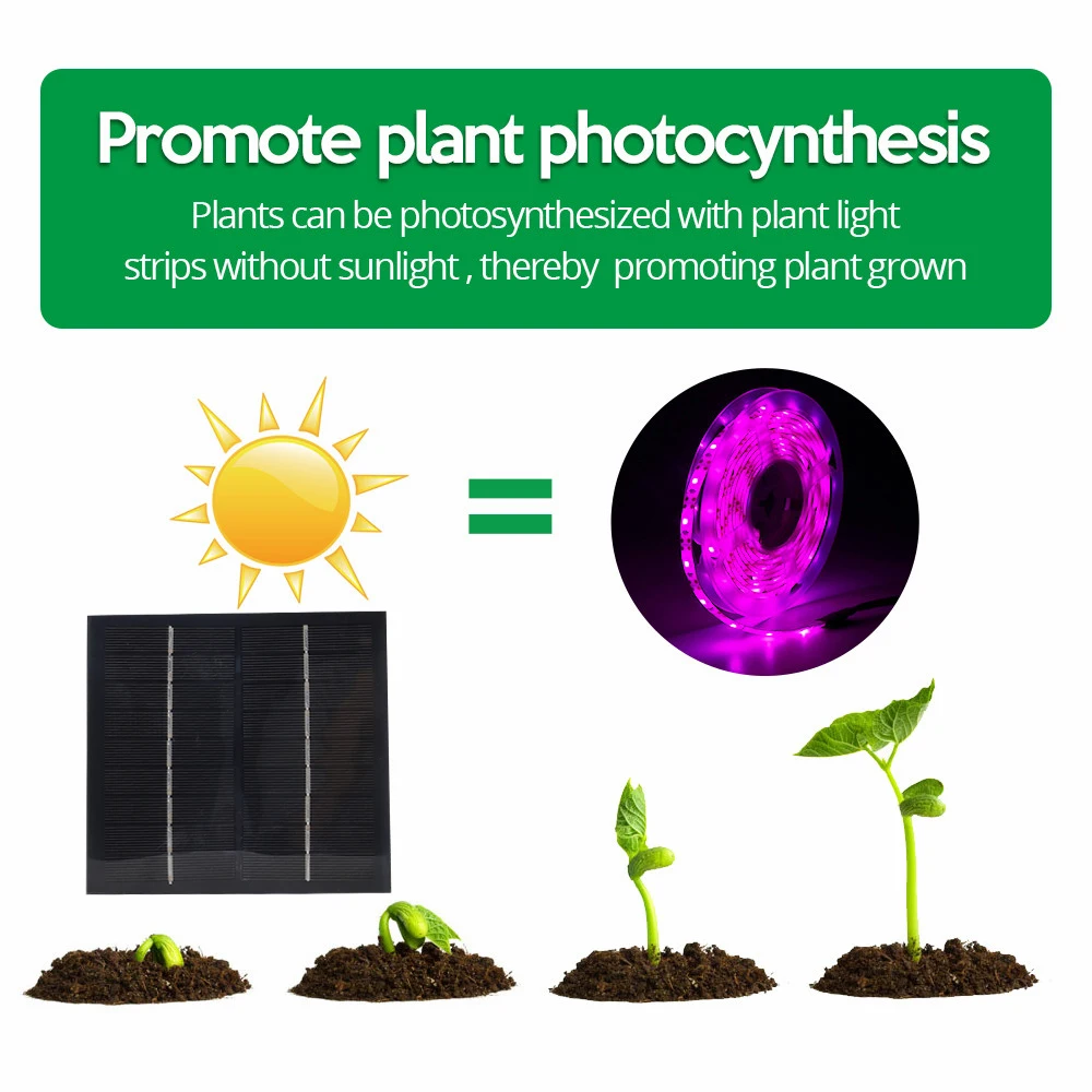 

5M Flower Seed Hydroponic Light Full Spectrum Flower Seedling Growing Lamp 2835 SMD for Plants Hydroponics Growing System