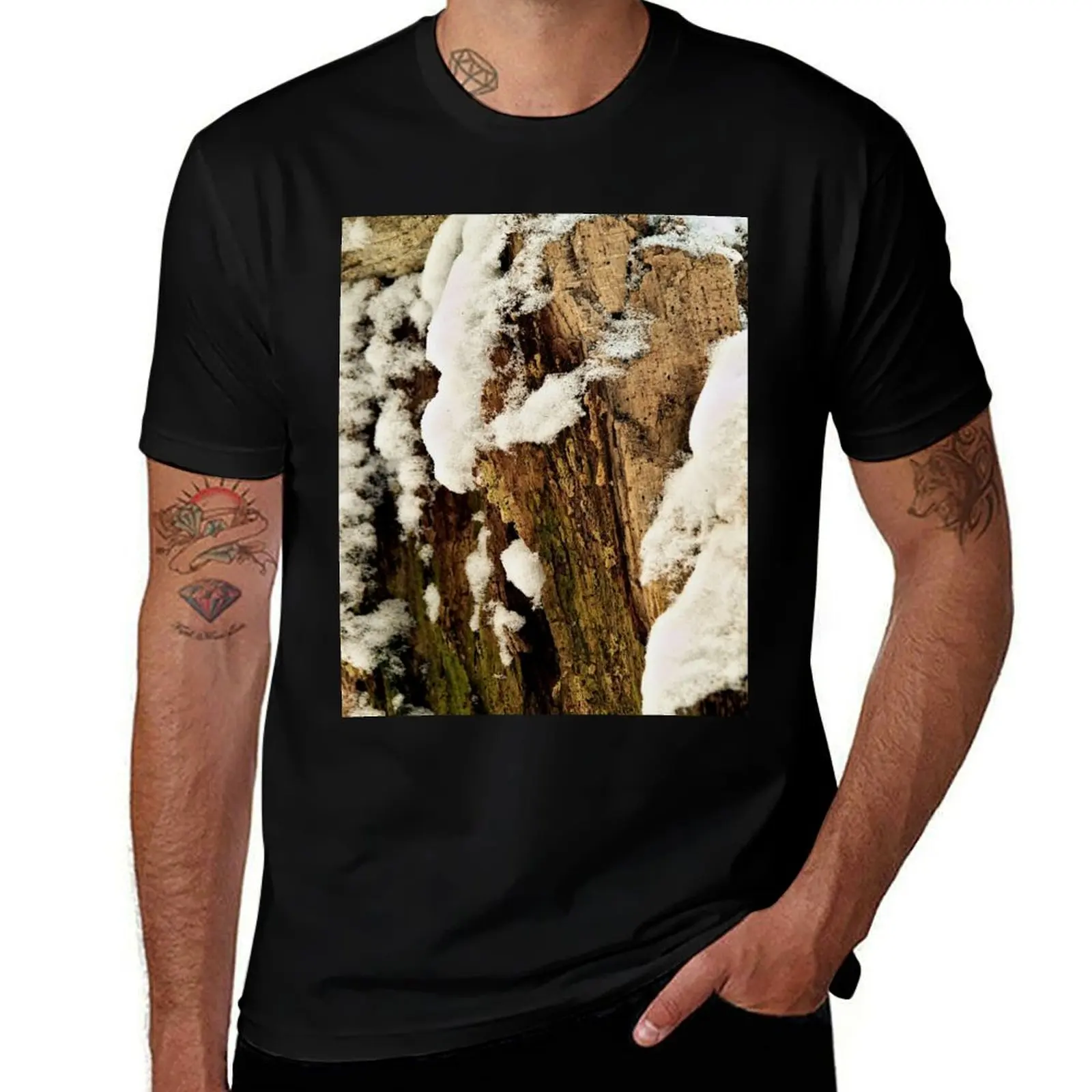 

Rotten tree stump in the first snow T-Shirt t shirt man plain t shirts for man cotton soft t shirts for man pack white T-shirt