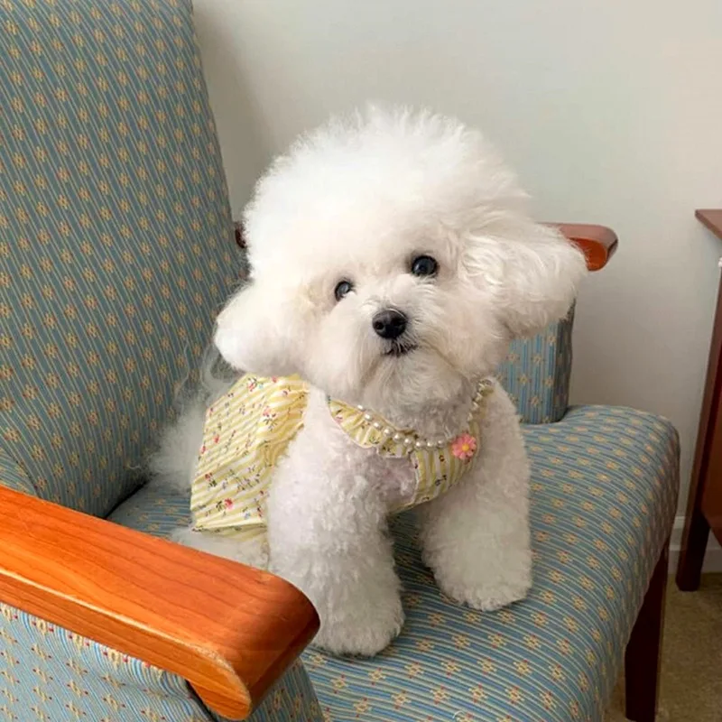 

Yellow Striped Teddy Dress Pet Dog Summer Clothes Bichon Frise Pretty Dress Puppy Soft Pullover Floral Dog Clothes