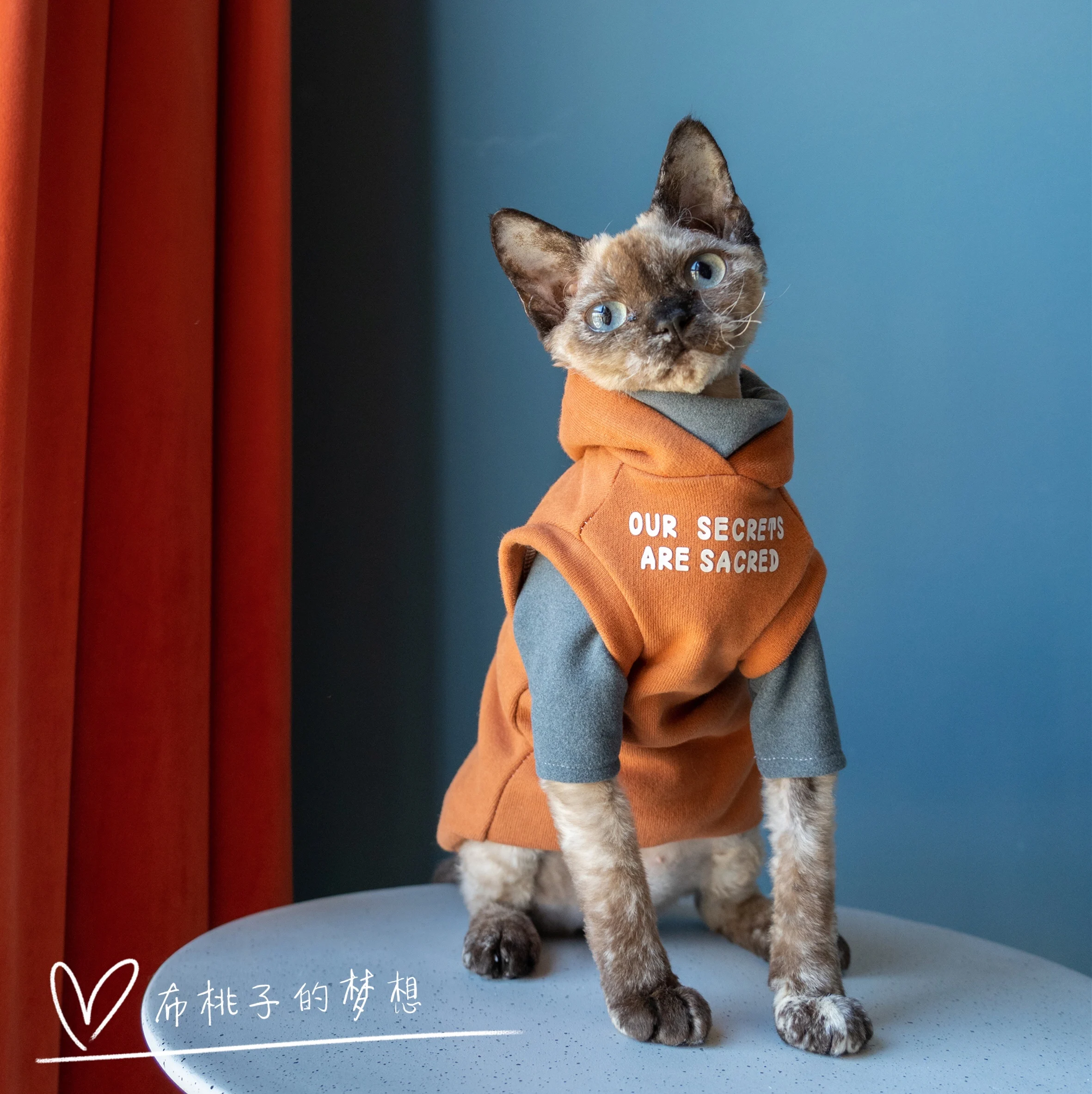 Fashion Sweatshirt Coat Suit for Sphynx Cat in Winter Thick Warm Costume for Kittens Soft Orange Jacket for Devon Cat