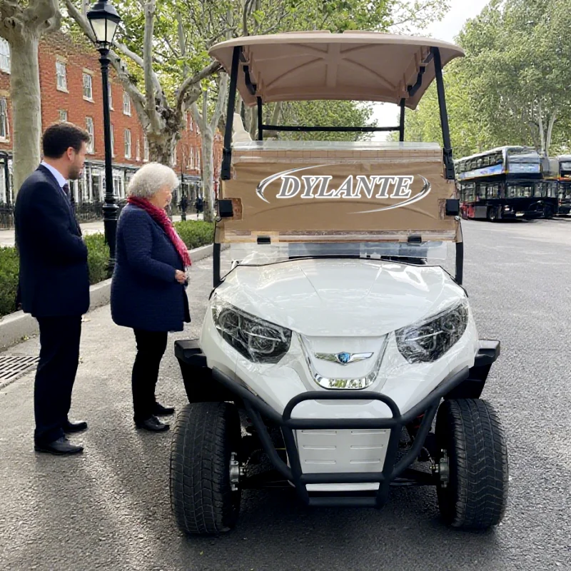 Hot Sale Golf Buggy… - image