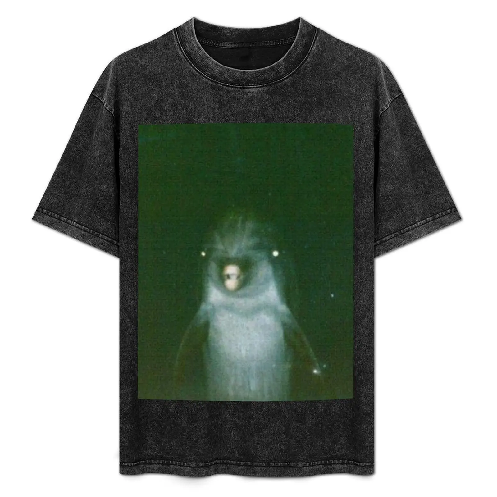 

Dolphin T-Shirt Work Wear Simple Tee Shirt