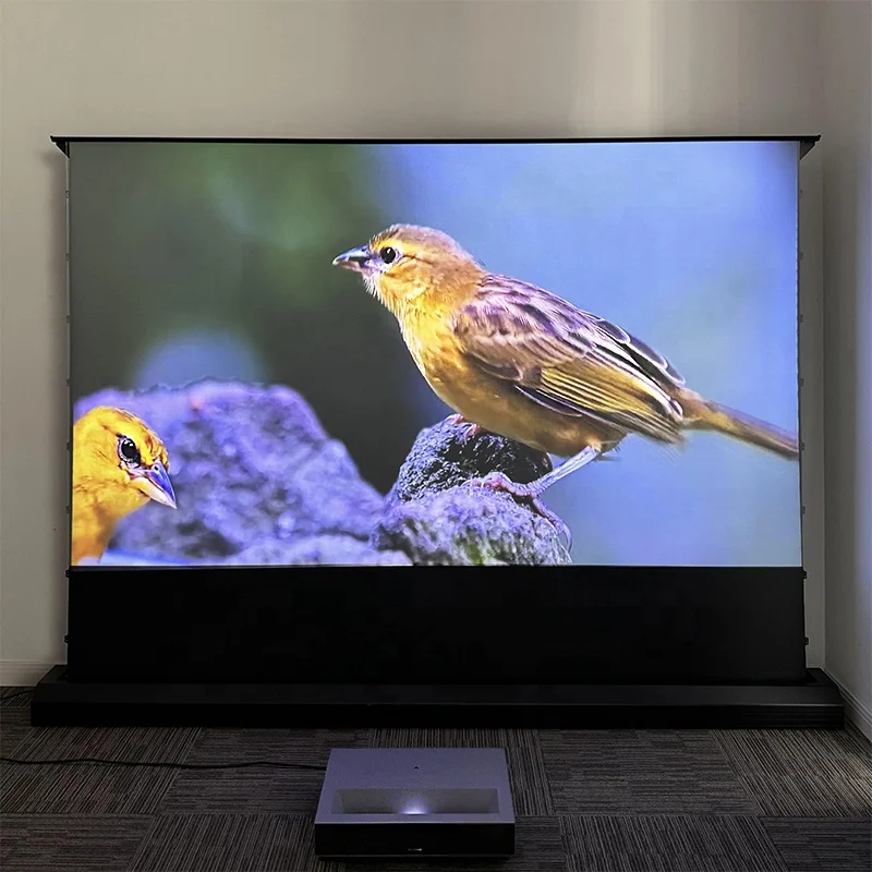 120 Inch Motorized Floor Rising ALR Projection Screen T Prism Ambient Light Rejecting for UST Ultra Short Throw Laser Projector