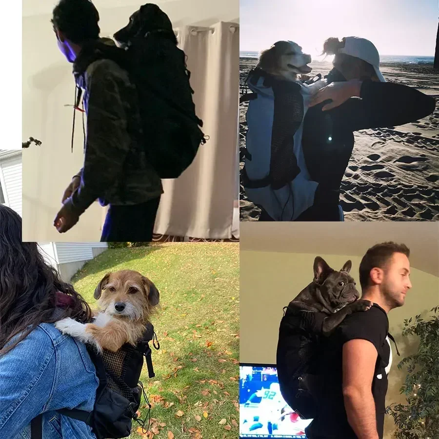 حقيبة ظهر متينة كبيرة لحمل الكلاب - حقيبة خارجية قابلة للتنفس وقابلة للتعديل، مستلزمات الحيوانات الأليفة للتنزه سيرًا على الأقدام من أجل البلدغ الذهبي المسترد #1