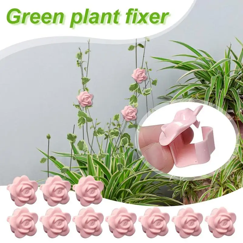 Money Plant คลิปสําหรับ Wall 10X ดอกไม้รูปผนังที่มองไม่เห็นคลิปตะขอสําหรับ Vines สนับสนุนผู้ถือกาวสติกเกอร์ Strong