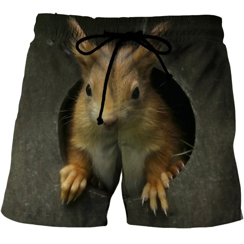 Animal Graphic Beach Shorts Men 3D Pattern Squirrel Beach Shorts Men Women Quick Dry Short Pants Cute Pet Bottoms Lovely Pants