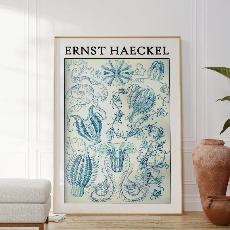 Haeckel Poster Fascinating Sea Life Poster As Haeckel Wall Art - Sea Animal Prints for Your Home or As A Gift Home Decor Posters