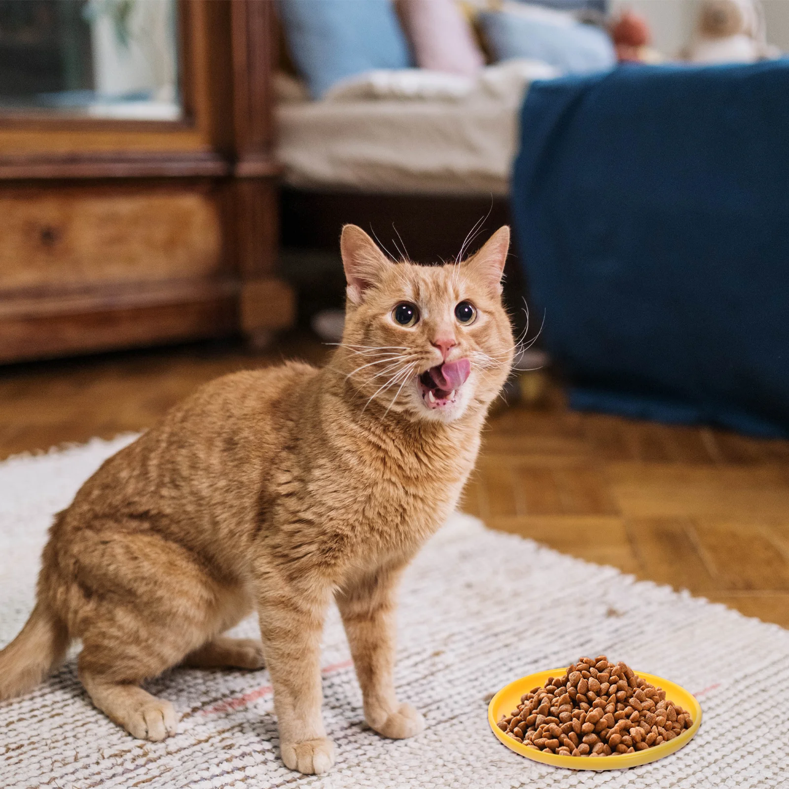 

Ceramic Cat Bowl Large Capacity Shallow Feeding Dish Durable Safe Material Easy Cleaning Pet Food Plate Supplies