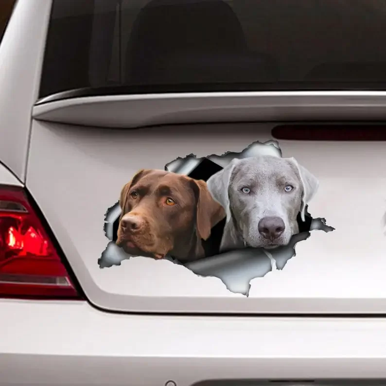 Brown and silver Labs car decal, lab decal, Labrador sticker, pet decal