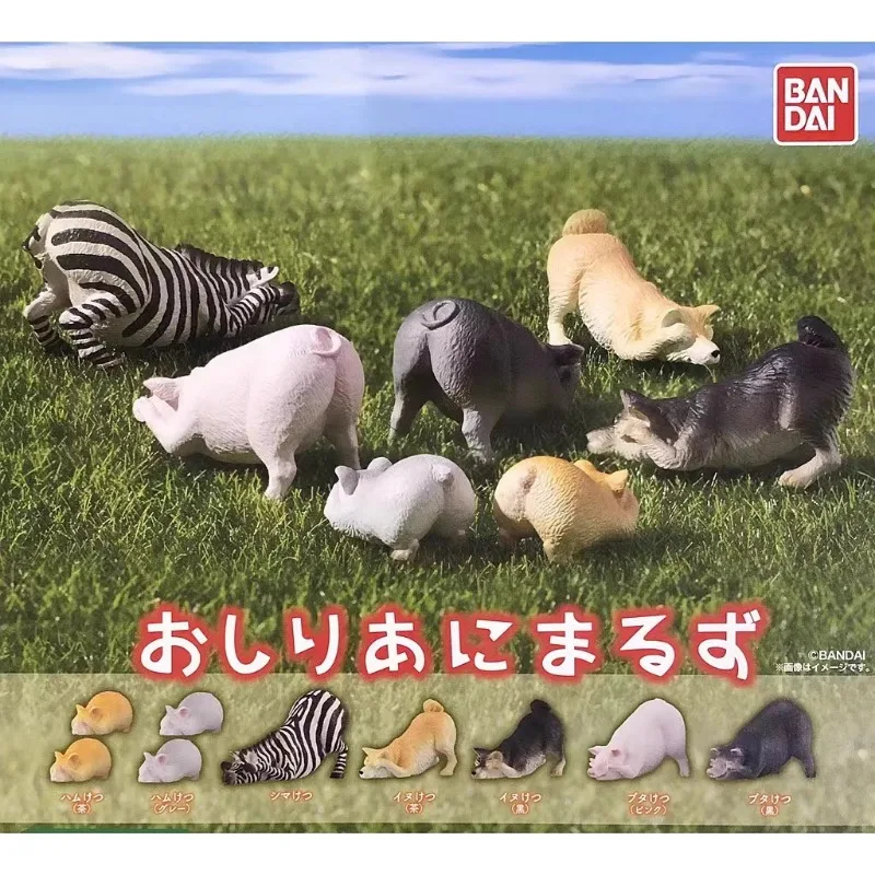 Original Bandai Gashapon Zebra Hamster Schwein Hund Qversion Mini Anime Tier Arsch Action figur Modell Spielzeug Geschenk Sammlung Ornament