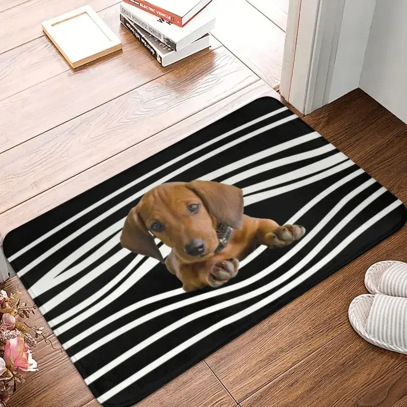 1PCDachshund Stripes Front Door Mat Anti-Slip Waterproof Weiner Dog Doormat Floor Bath Rug Toilet Living Room Footpad Carpet