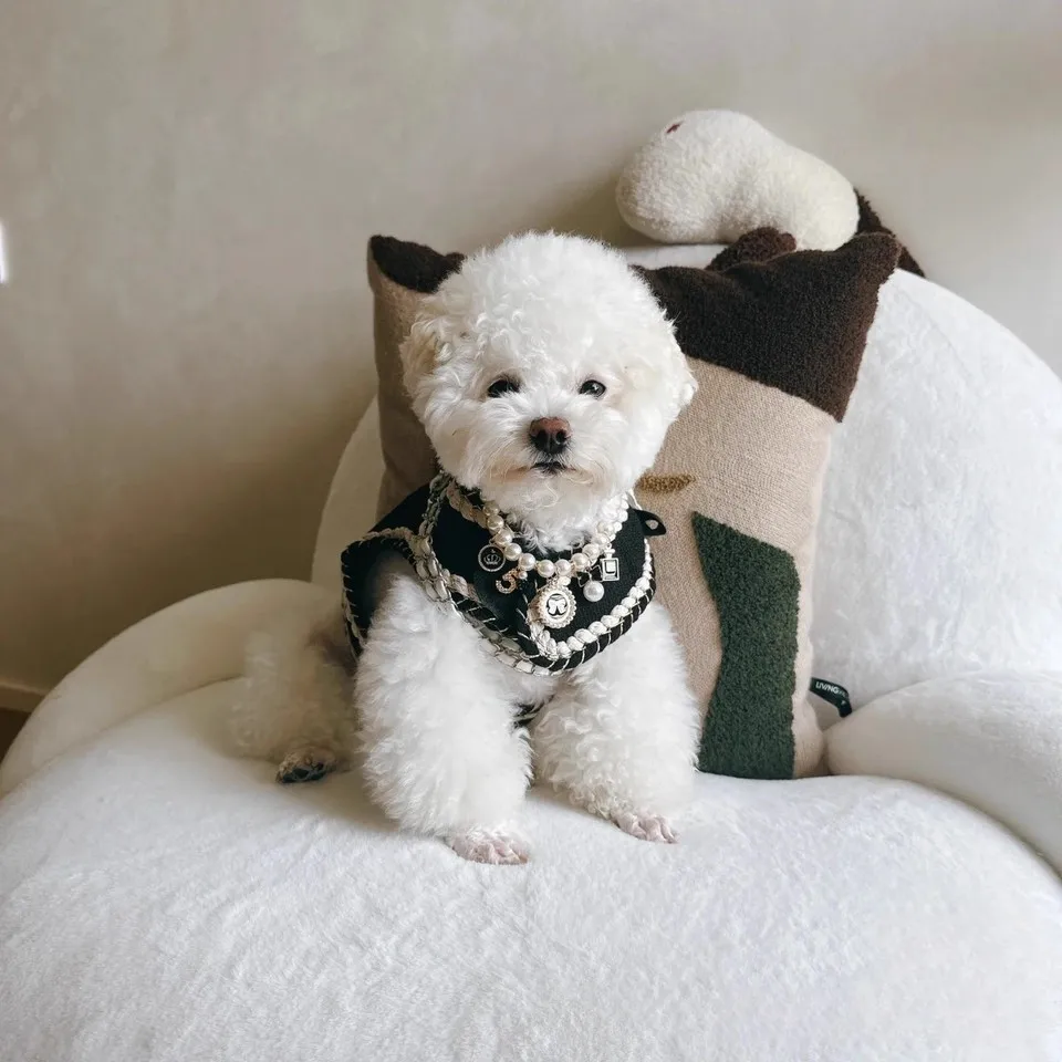 

Classic Color Camellia Decoration Pet Harness Set For Cats Dogs Rabbit