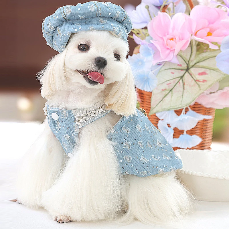 Autumn Winter New In Luxury Pearl Dog Denim Velvet Vest Pet Pomeranian Schnauzer Small Puppies Clothes With Beret High Quality