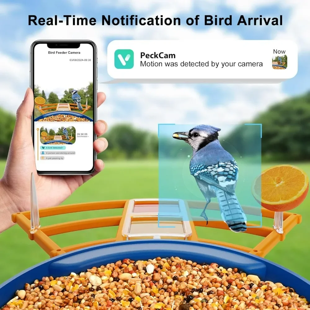 Smart Bird Feeder with Camera+Solar Panel7 Add-on, 1080P AI Identify 10000+ Birds, Auto Detection & Notify Wireless Outdoor Bird