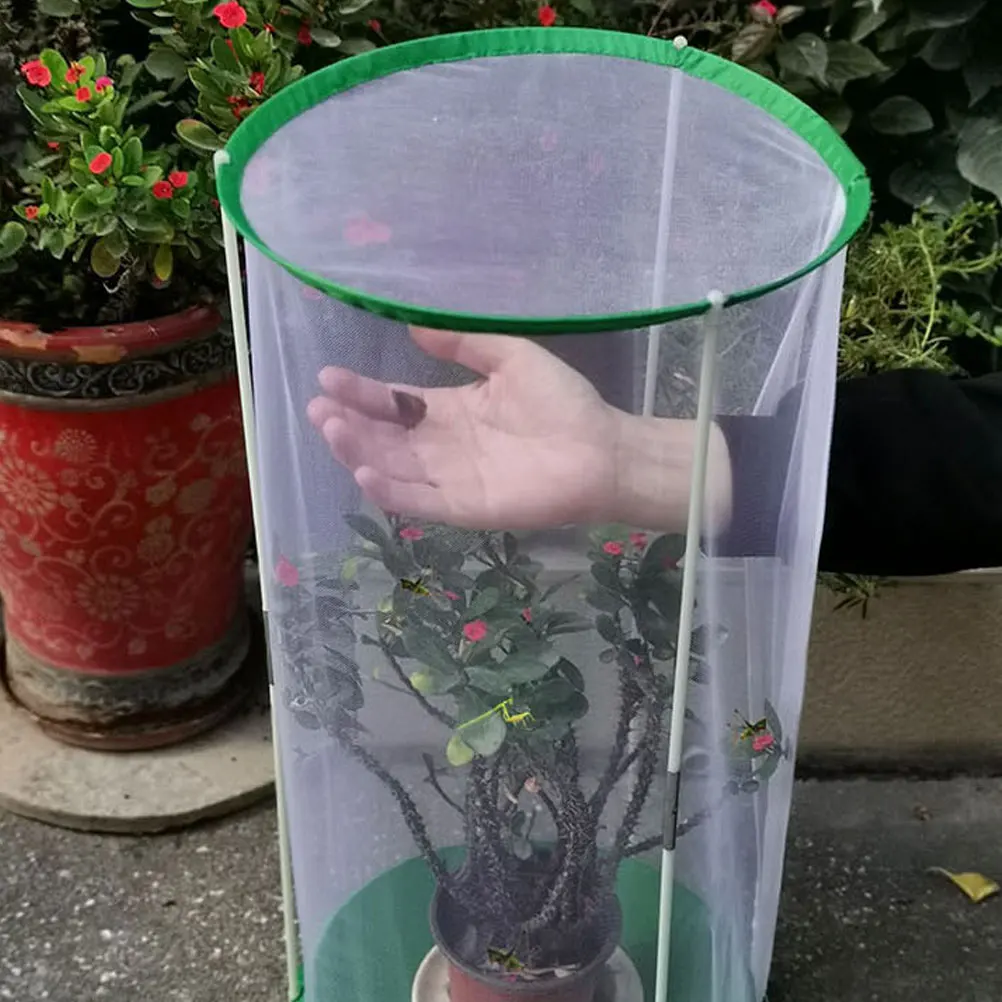 

Butterfly Breeding φ30x60 Observational Habitat Transparent Outdoor Butterflies Incubator Mesh Enclosure for Caterpillars