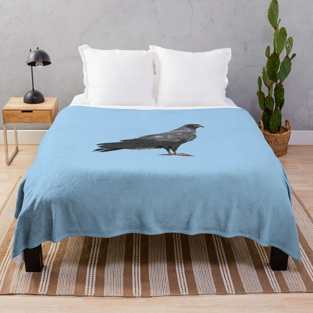 

Everglade Snail Kite Color Design Throw Blanket Moving Decorative Sofas Luxury Blankets