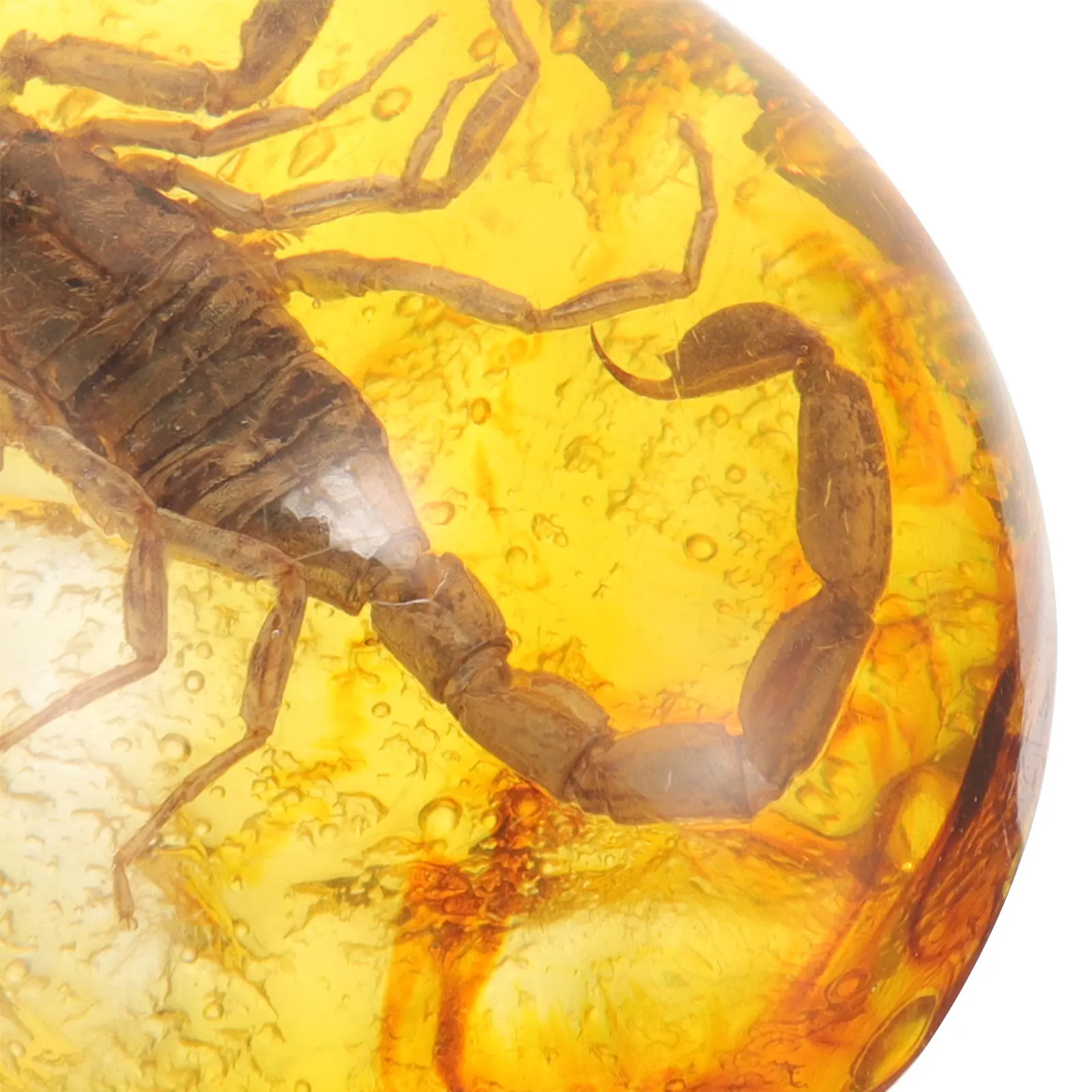 

3pcs Insect Amber Specimen Resin Pendant Necklace Decorative Craft Diy Ornament Jewelry Making Lightweight Artisan Charms