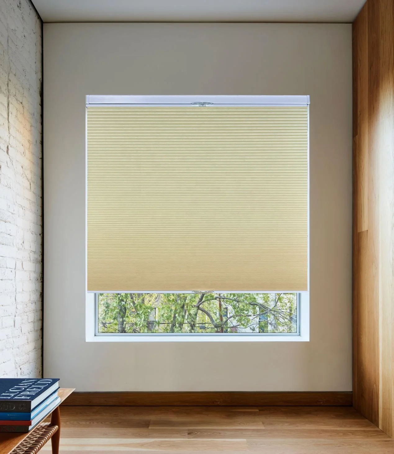 Double Cell Honeycomb 38mm Blinds Cordless Top Down and Bottom up Honeycomb Shade
