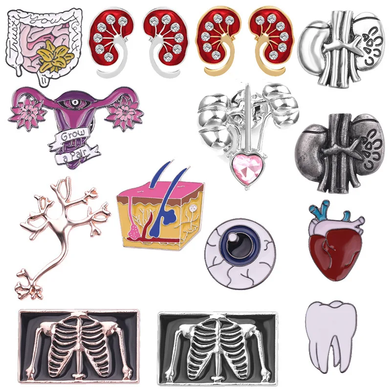 

Human Anatomy Brooches Heart Lungs Kidneys Skeleton Eyes Collar Pins Creative Metal Accessories Fashion Jewelry Gifts