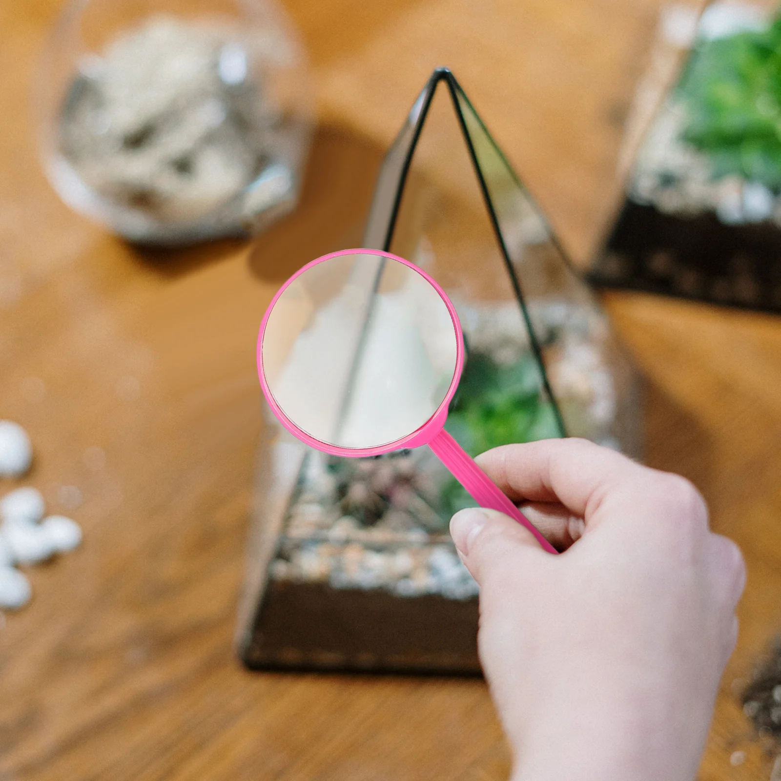 

6Pcs Handheld Magnifying Glasses Colorful Durable Plastic Handles Ideal for Reading Puzzle Coin Jewelry Stamp Collection