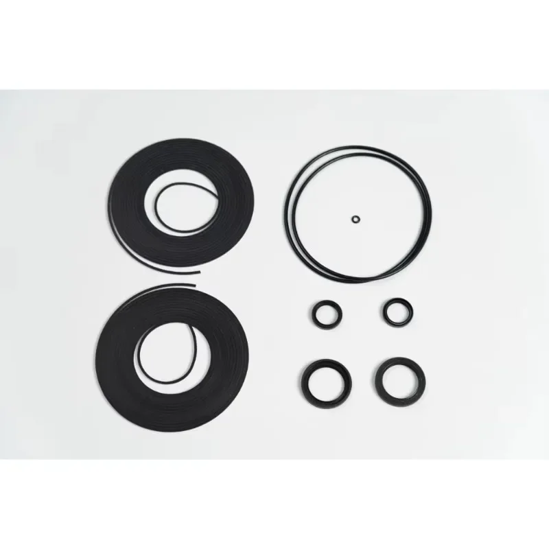 

GWTSK600 Maintain Oil Less Vacuum Pump and Compressor Tip Seal Kit Super Wear Proof Tip Seal Kit