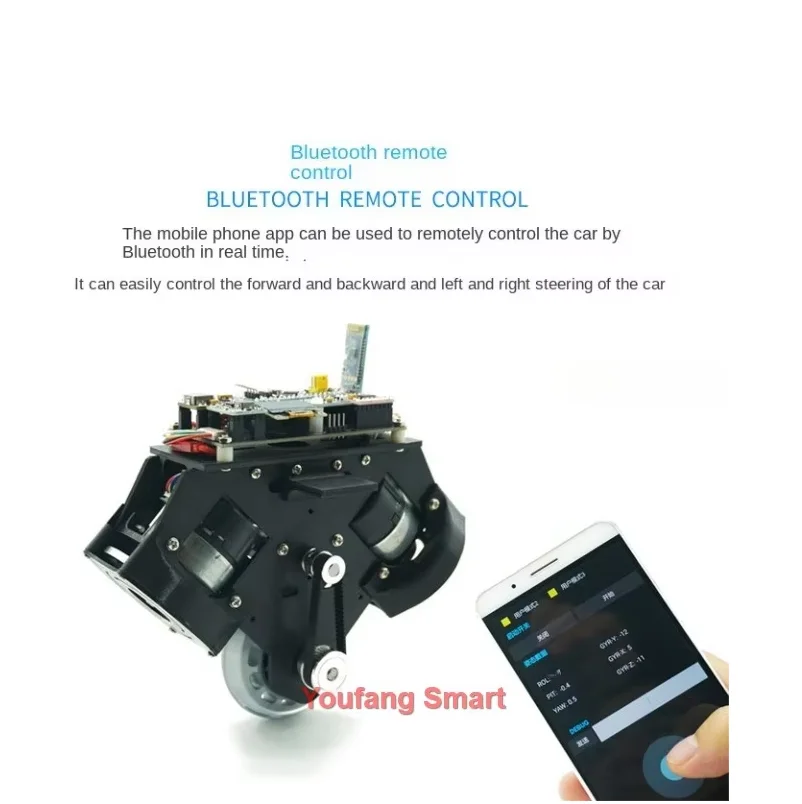 Stampa 3D RC Tank monocycle auto intelligente per STM32 Robot Car Open Source Competition APP Control monocycle Balance Robot Kit