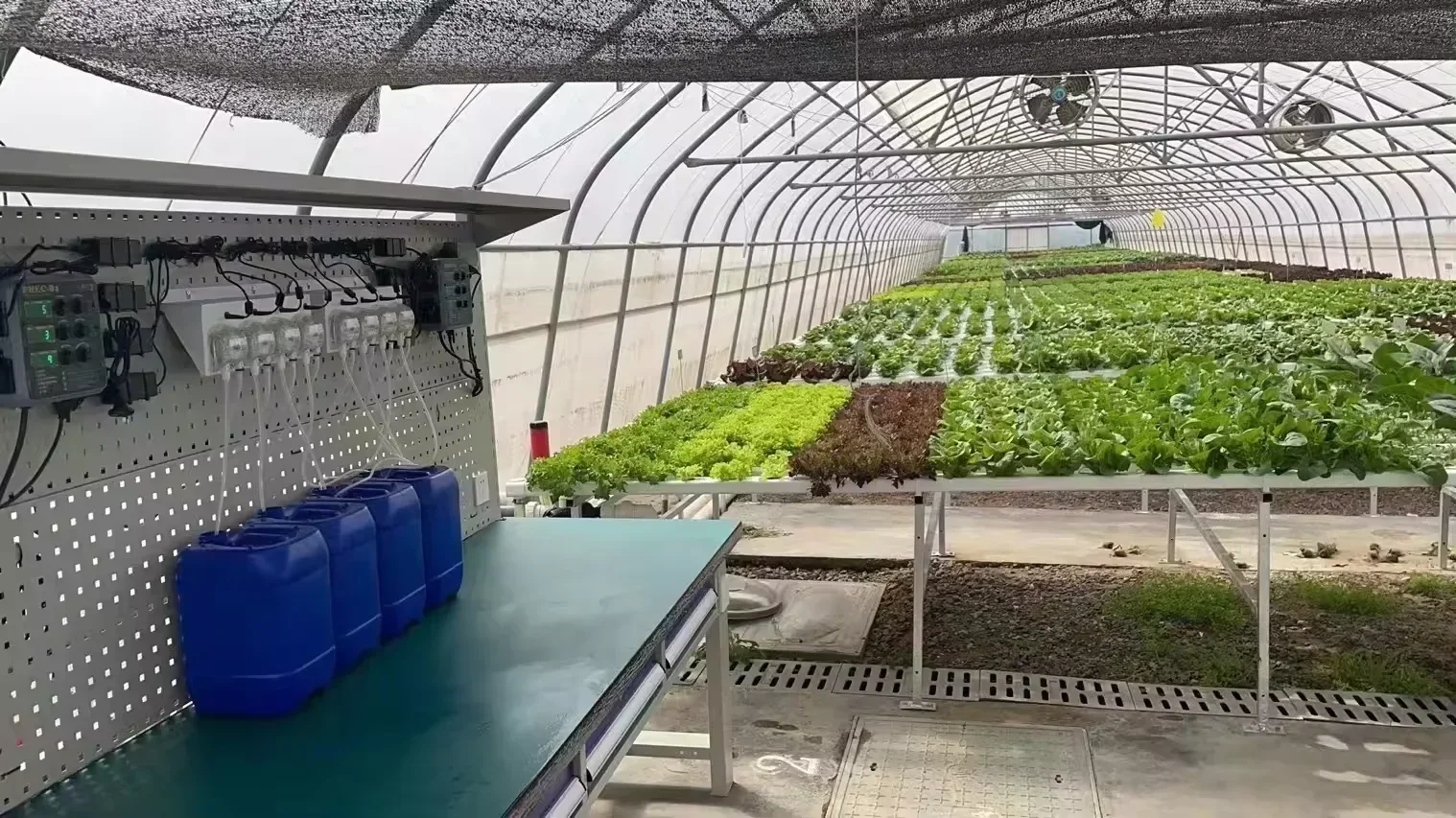 

НОВИНКА В НАЛИЧИИ Цифровой контроллер питательных веществ для фермерского хозяйства в теплице Skyplant для систем выращивания гидропоники Контроллер PH EC