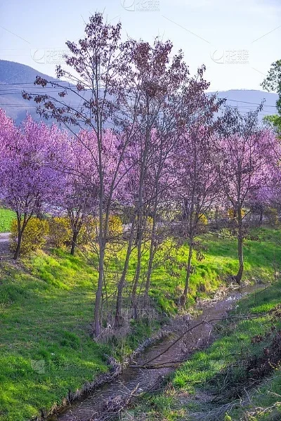 

Масштабные губчатые шины и колесные диски 1/10 с вылетом 3 мм и шестигранным креплением 12 мм для радиоуправляемых моделей гоночных автомобилей HSP HPI (аксессуар)