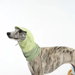 Sombrero verano anti-UV para Whippets y Galgos Italianos – Seda helada