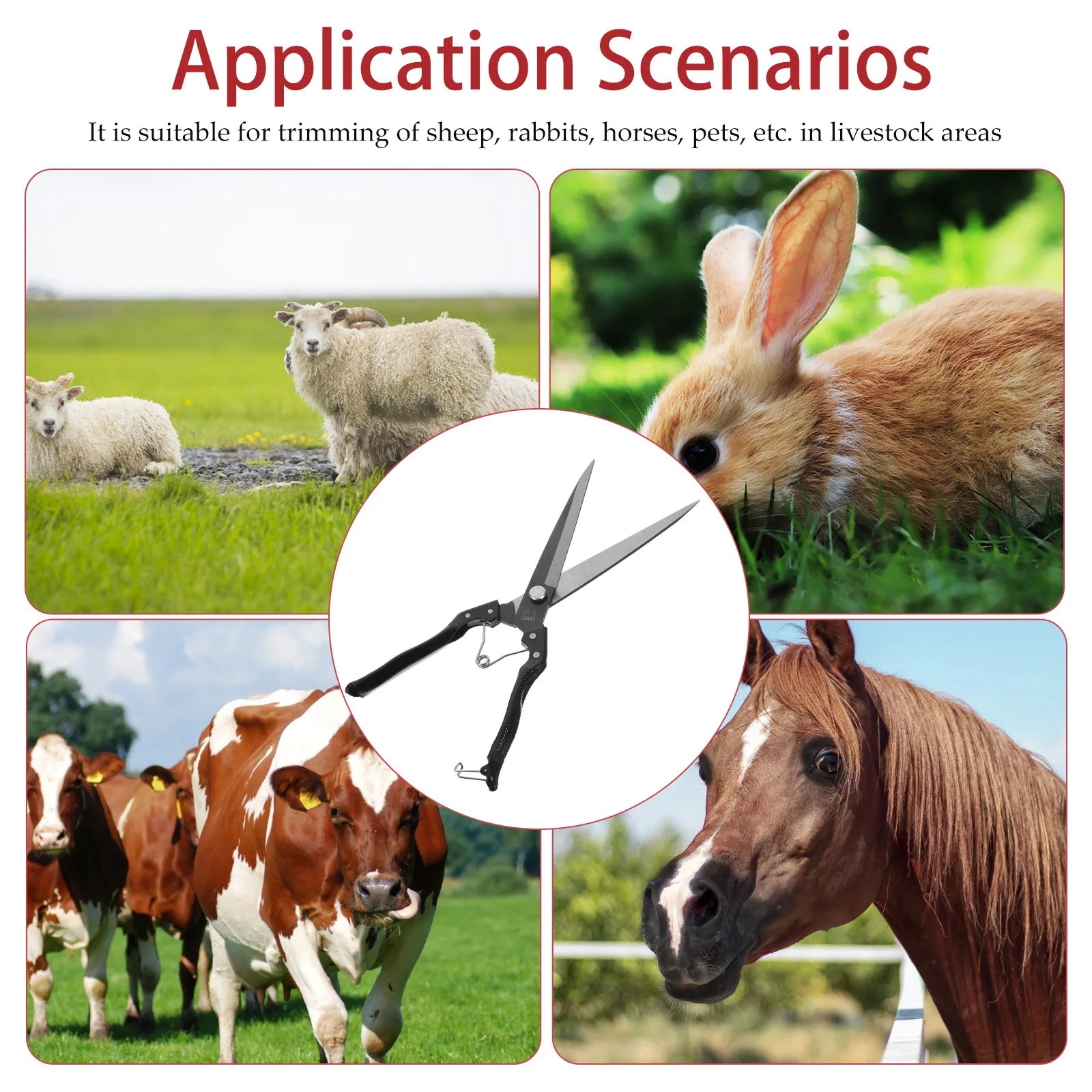 

Farm Grooming Scissors Sheep Shears Black Carbon Steel Manual Clipper Animal Hairdressing Tools Steel Sheep Shears Wear