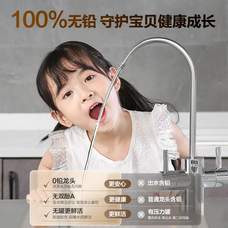 Water Purifier, Household Kitchen Direct Drinking Machine, Reverse Osmosis Tap Water Filtration 1000G Heating Integrated