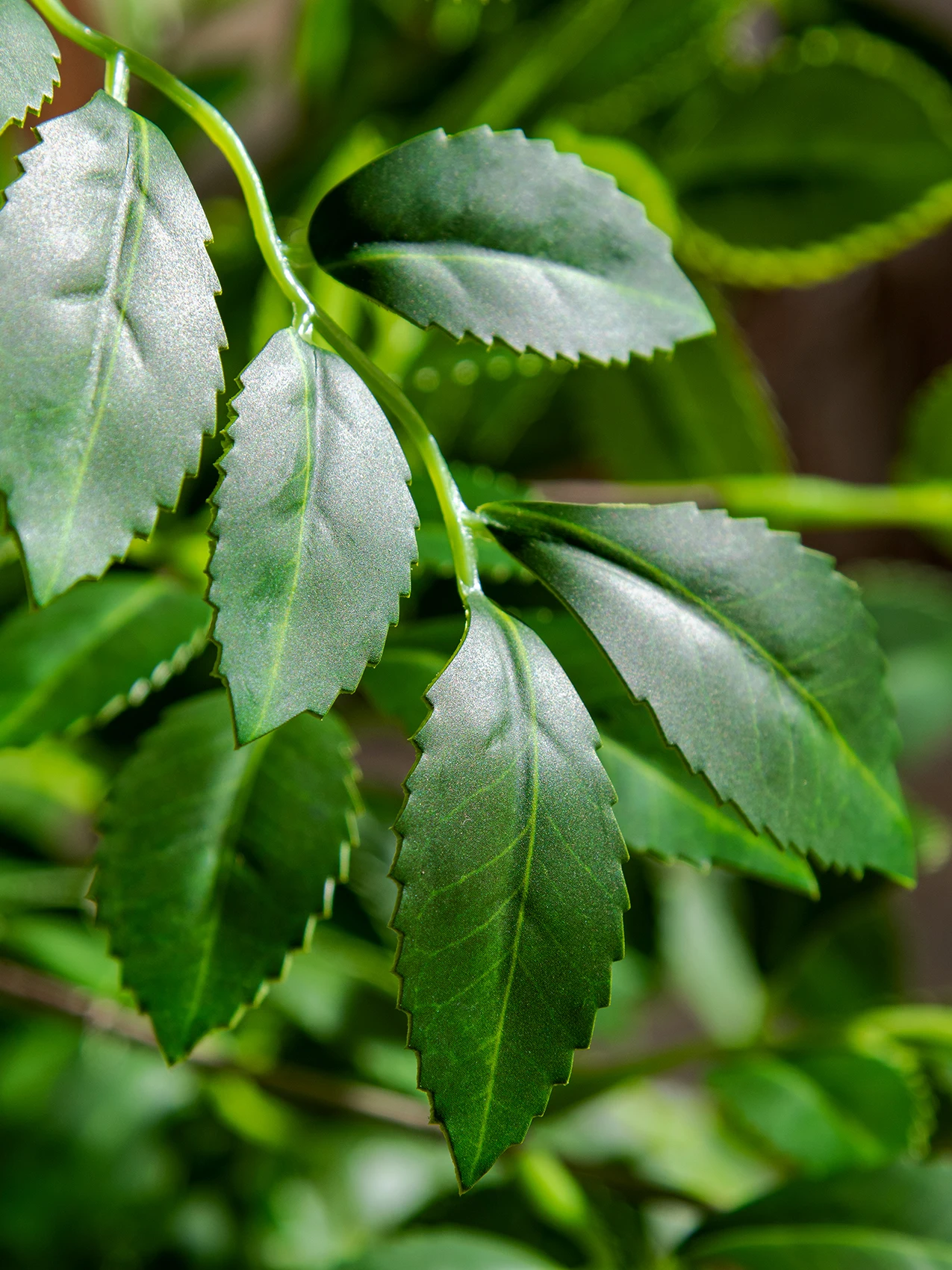 Imagem -05 - Simulação Árvore do Dinheiro Planta Verde Falsa Plantas Grandes Decoração do Assoalho Interno Parte Alta Luxo Dinheiro Ulmeiro