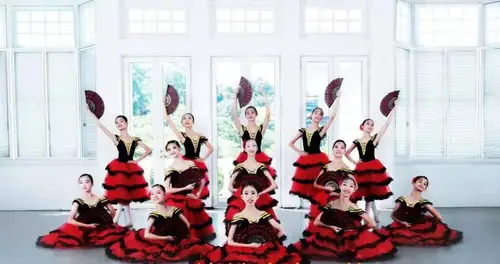 Imagen 2 del producto Vestido largo y romántico de Ballet para niña adulta, tutú de actuación, vestidos de bailarina, corpiño de terciopelo, rojo, Español