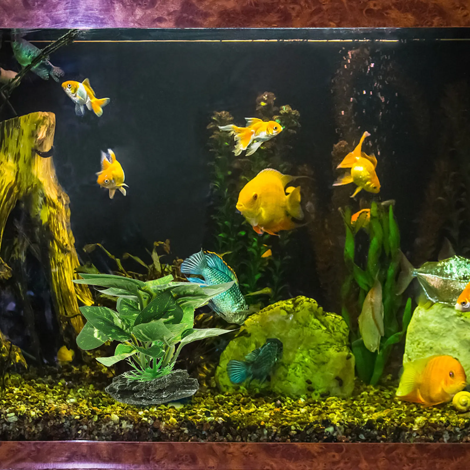 Simulation Plant Decoration Fi - Planted Aquarium For Goldfish ulasan dan harga