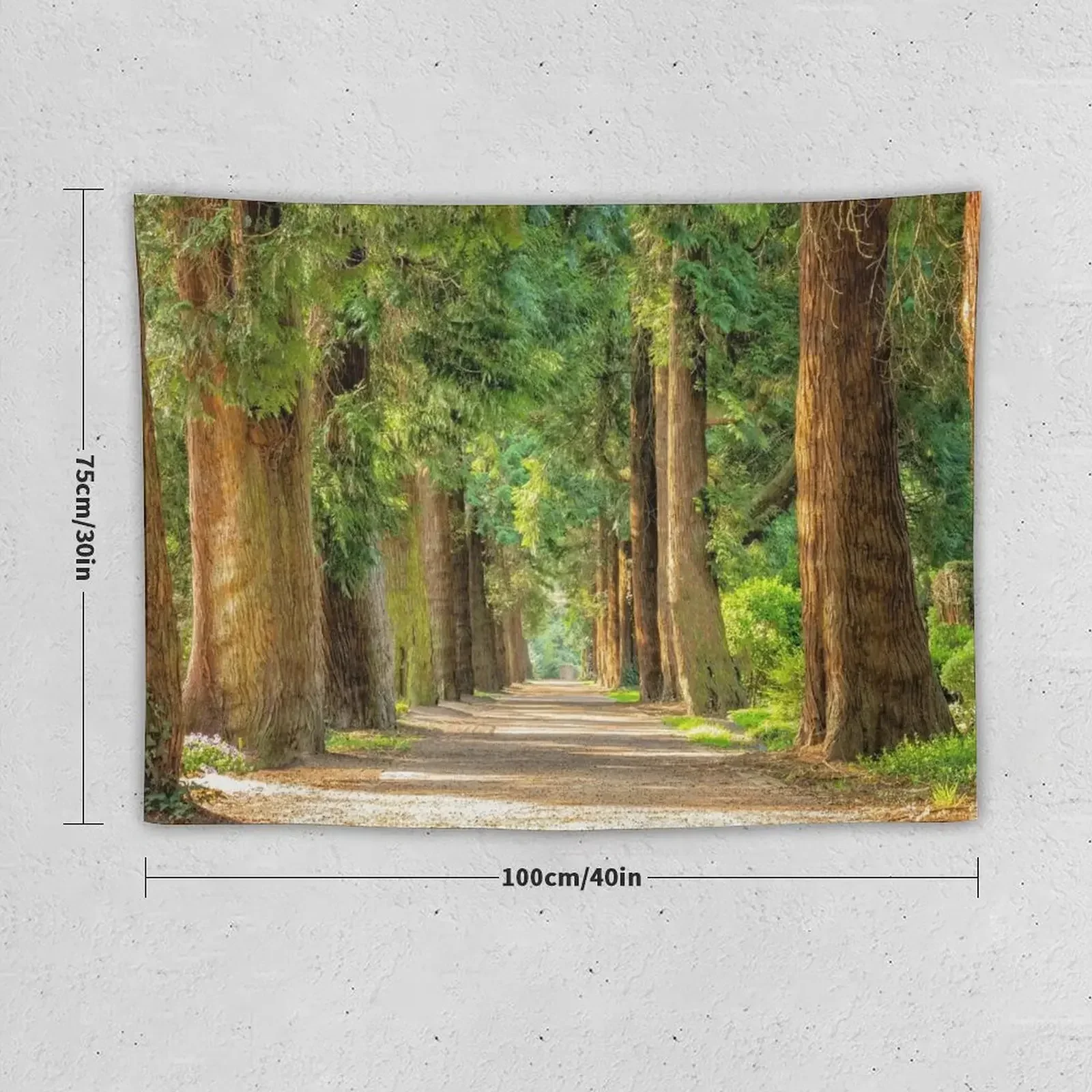 Back country road avenue of redwood trees nature forest color landscape photography Tapestry Wall Carpet Tapestry