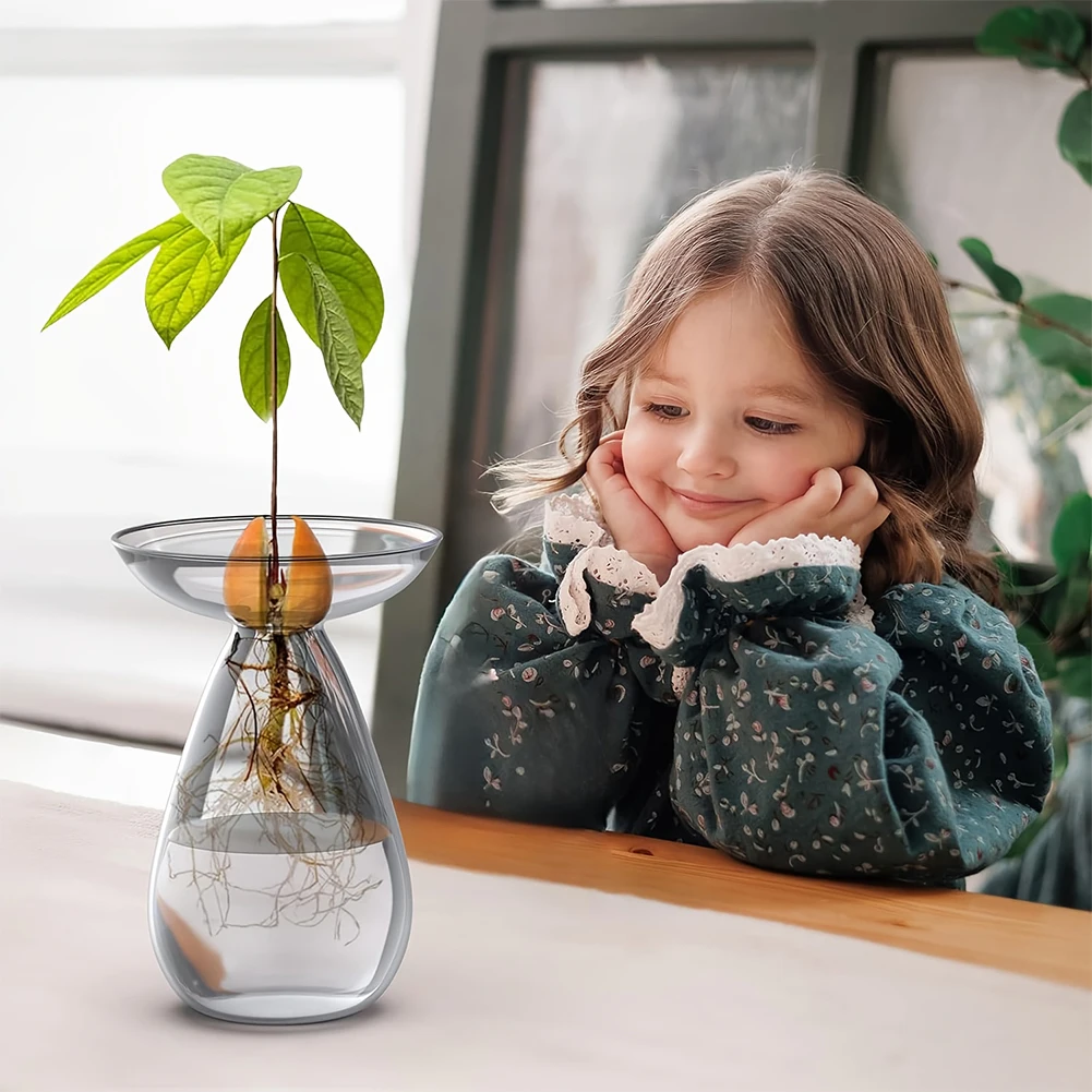 Avocado Hydroponic Vase Transparent Plant Propagation Station Glass Avocado Tree Flower Vase for Gardening Lovers