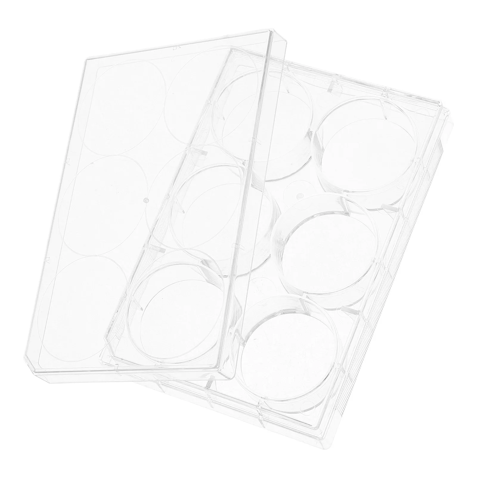

12 Well Cell Culture Plate TC Treated Lab Specimen Tray Transparent Polystyrene MultiFunctional Tissue Cultivation Laboratory