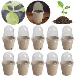 10Pcs Seedling Cup Seed Starter Transparent Lid Cultivation Pot Biodegradable Germination Planter Versatile Gardening Supplies